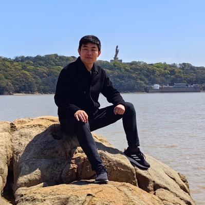 山东大象科技
