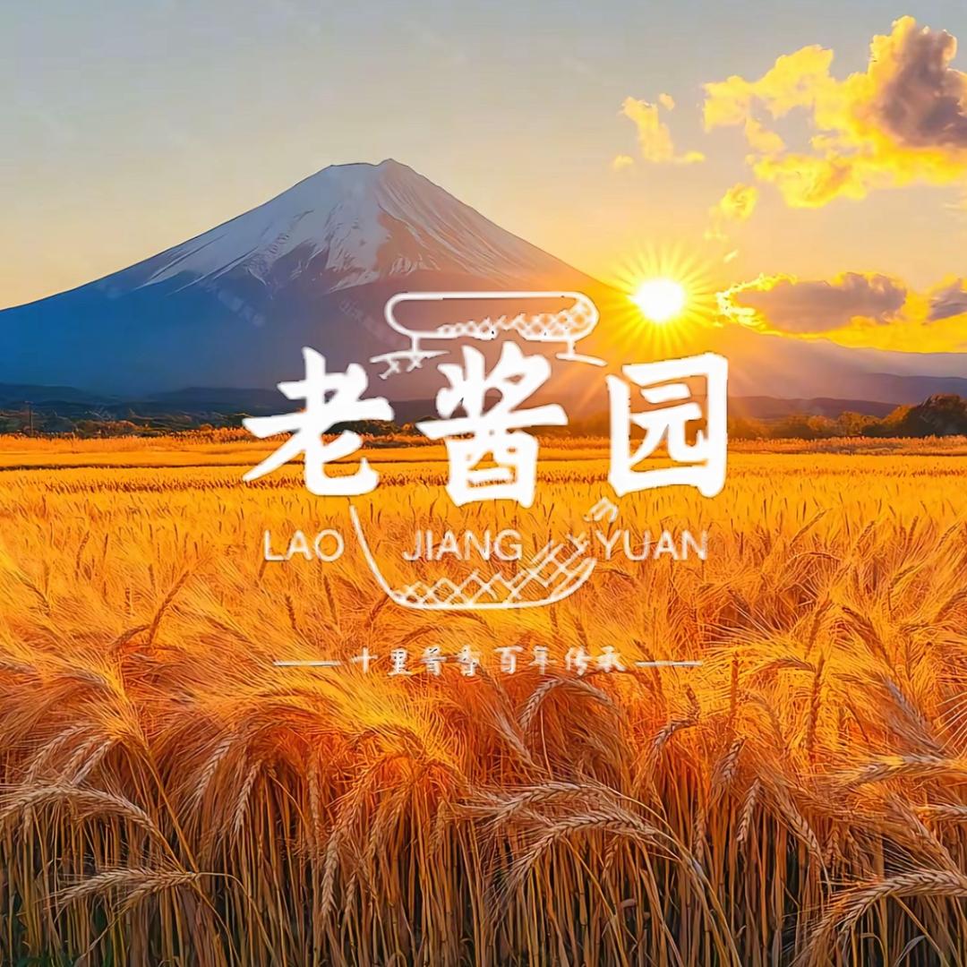 安徽老酱园食品有限公司