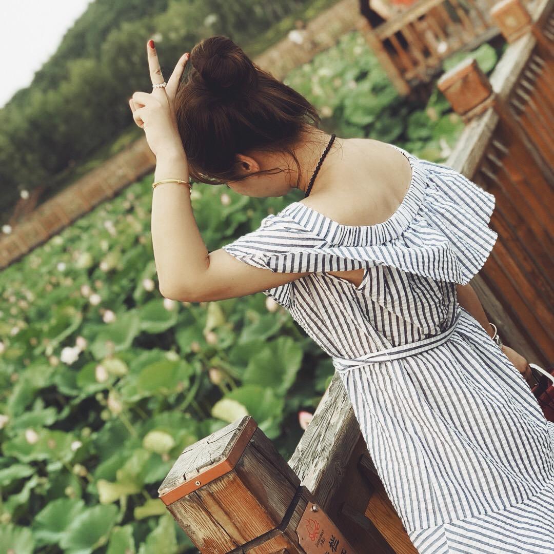 它说梗犬拔毛-诗晴🍃