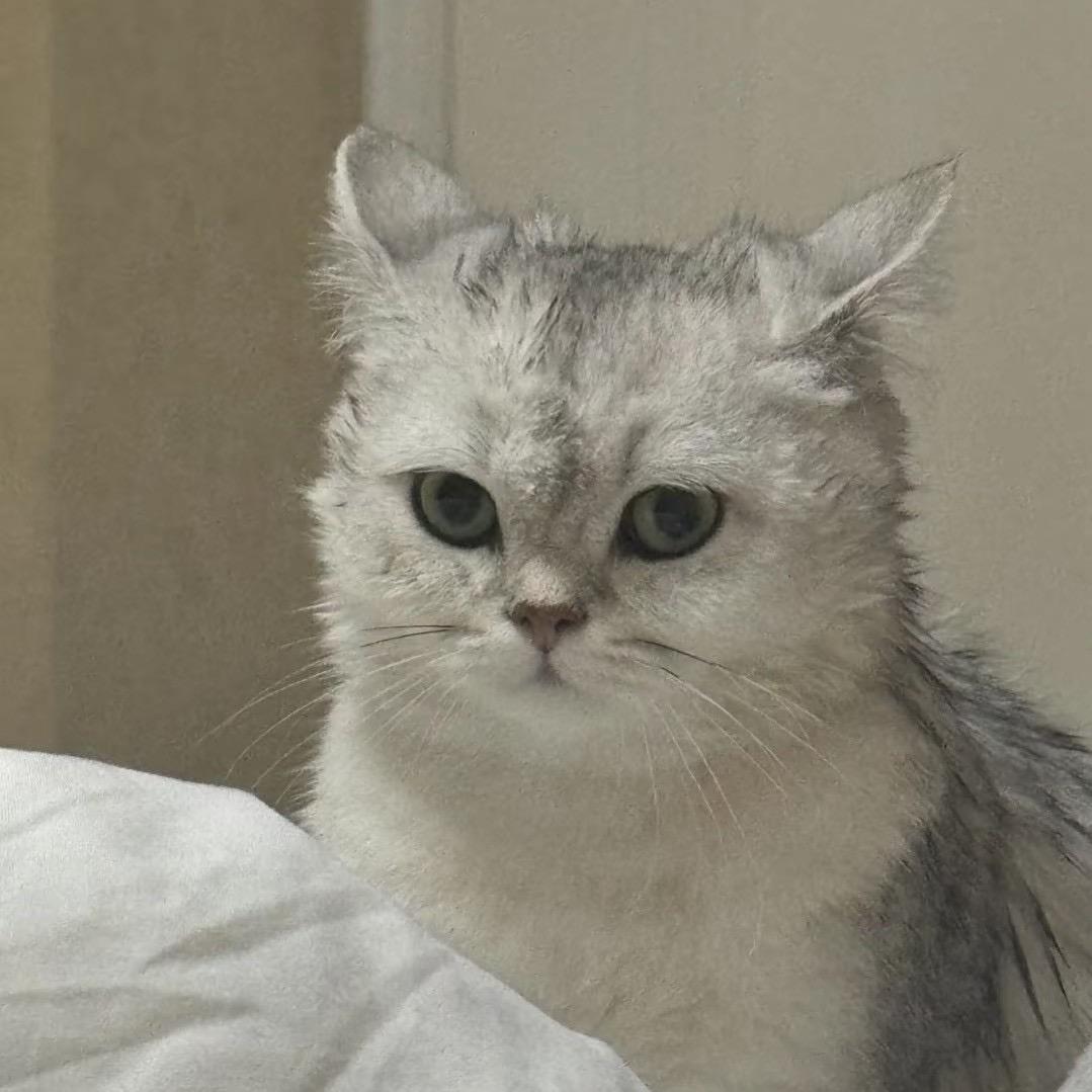 舒一