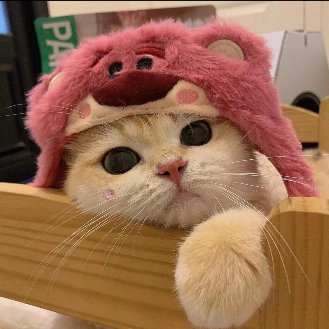 谁偷我草莓熊