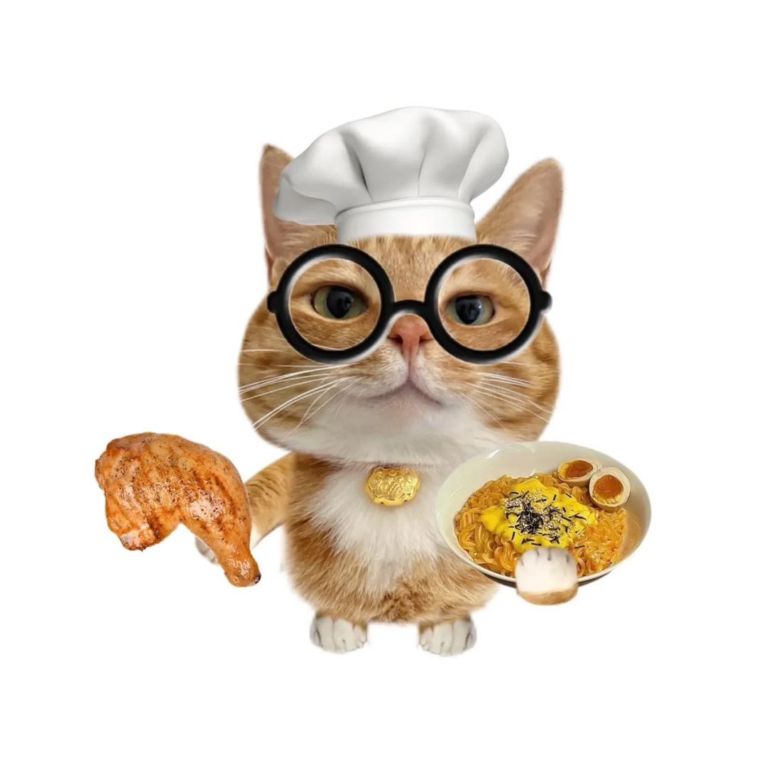 猫猫大王
