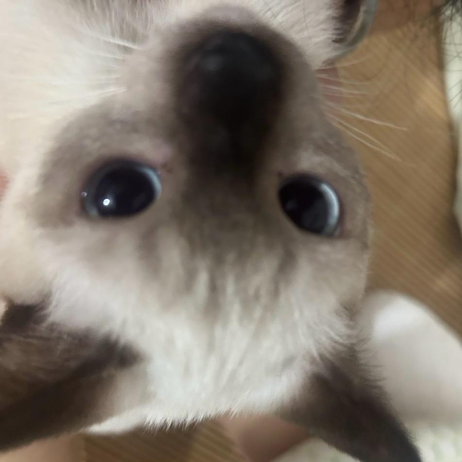 渔.