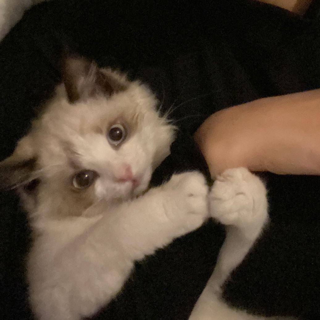 给我摸一下腹肌