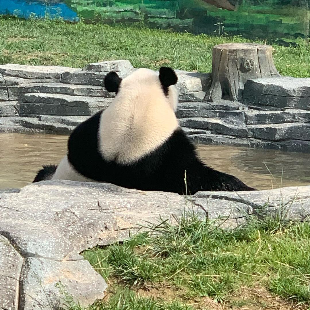 &黄蓉的主人&
