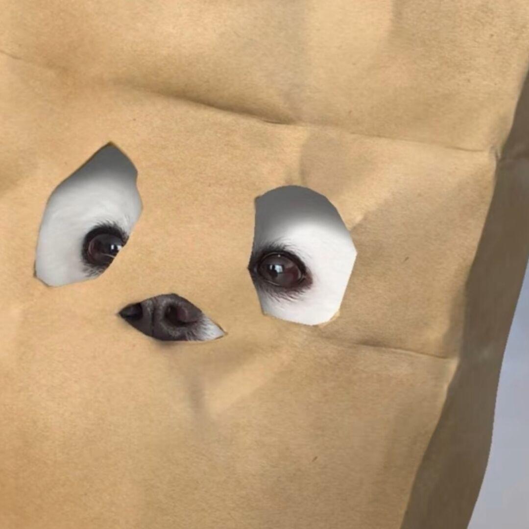 Ss