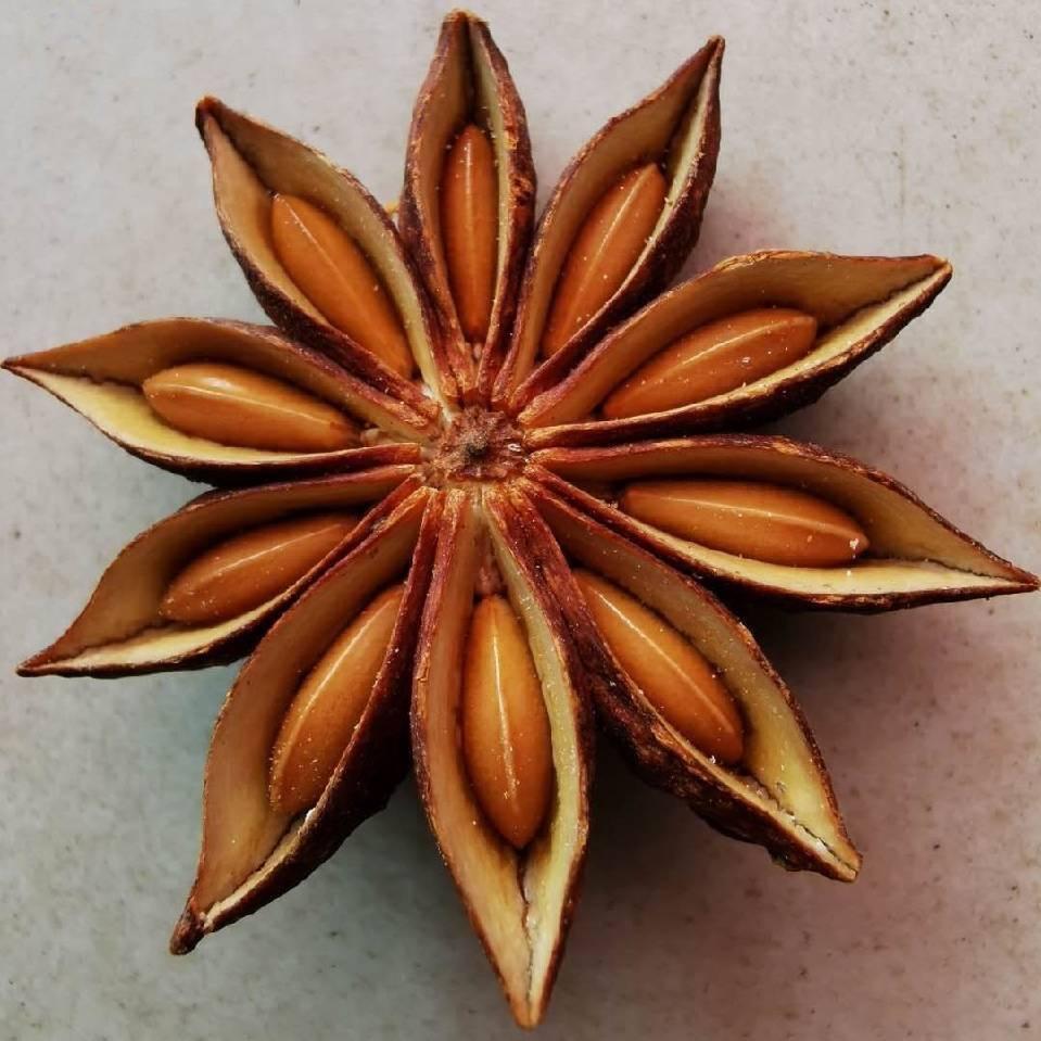 山东八桂调味（黄锐一）