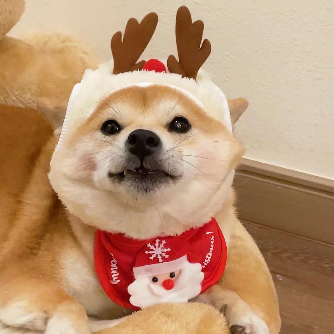 科林