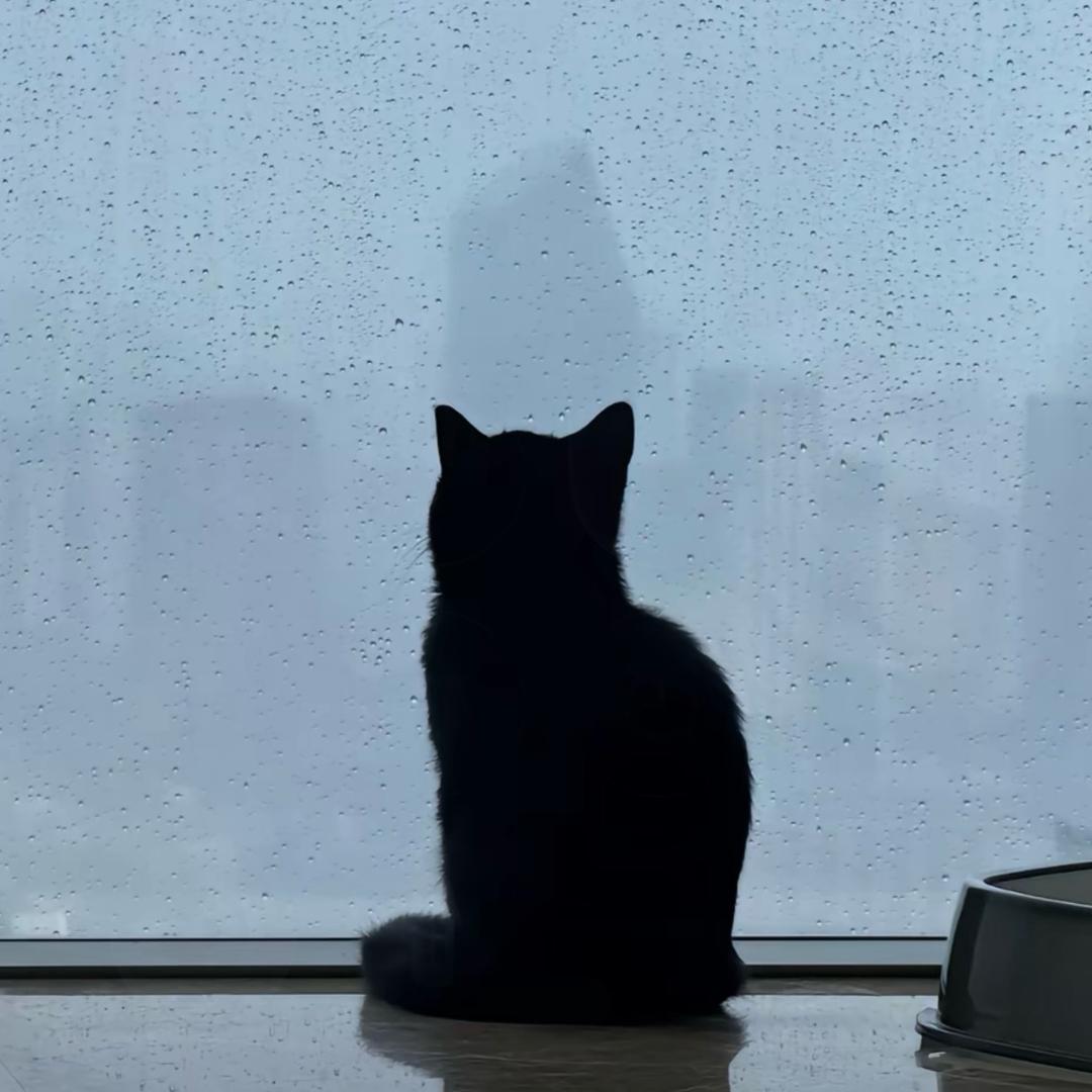 說一句