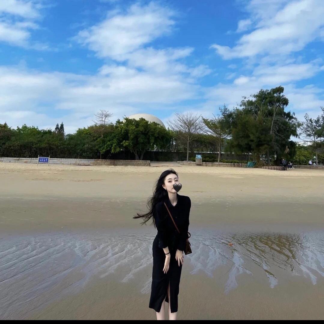 信科信息咨询