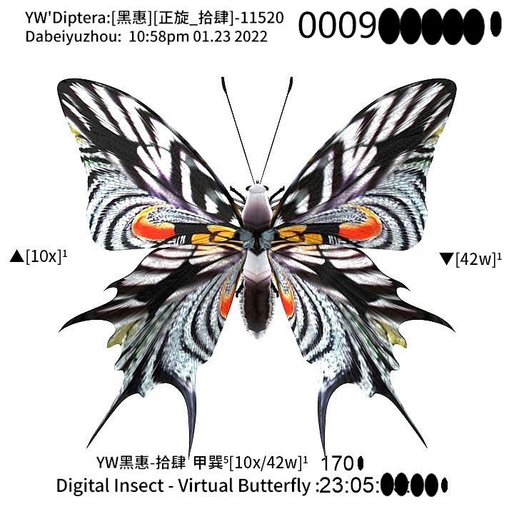 大悲宇宙虚拟蝴蝶直播间