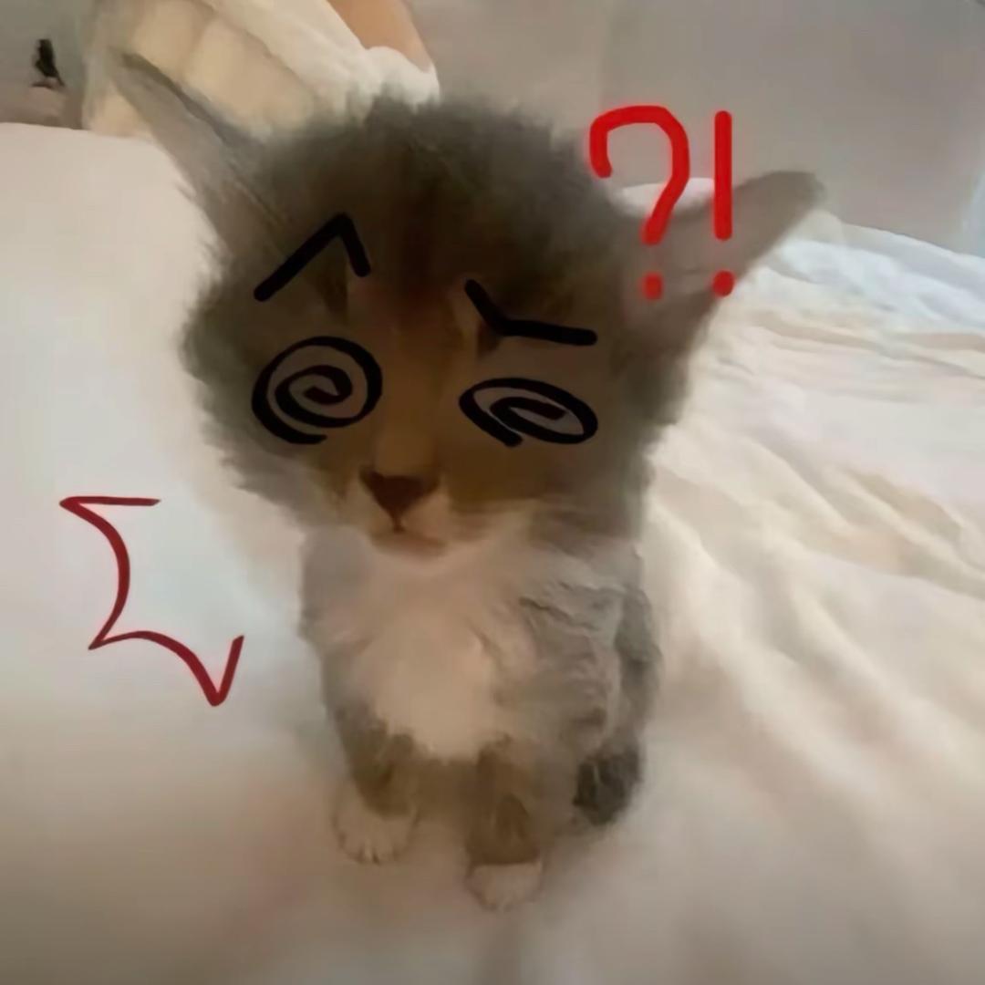 小台