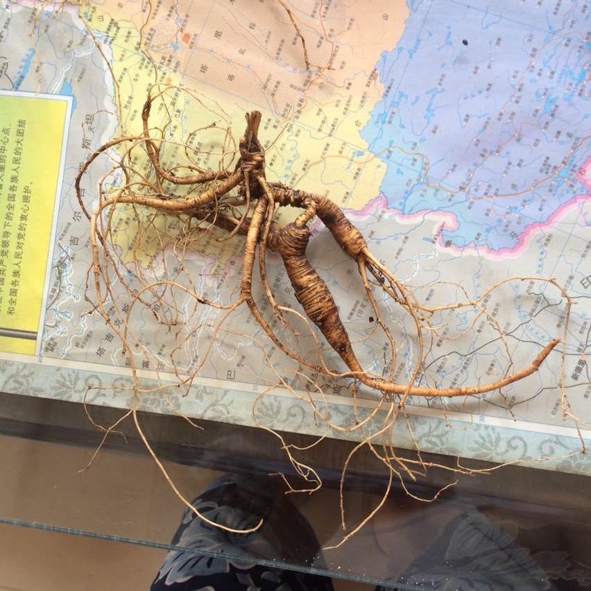 王小也土特产行