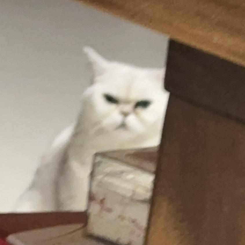 抚顺霸道哥