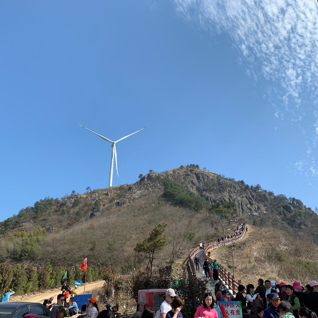 似曾相识燕归来