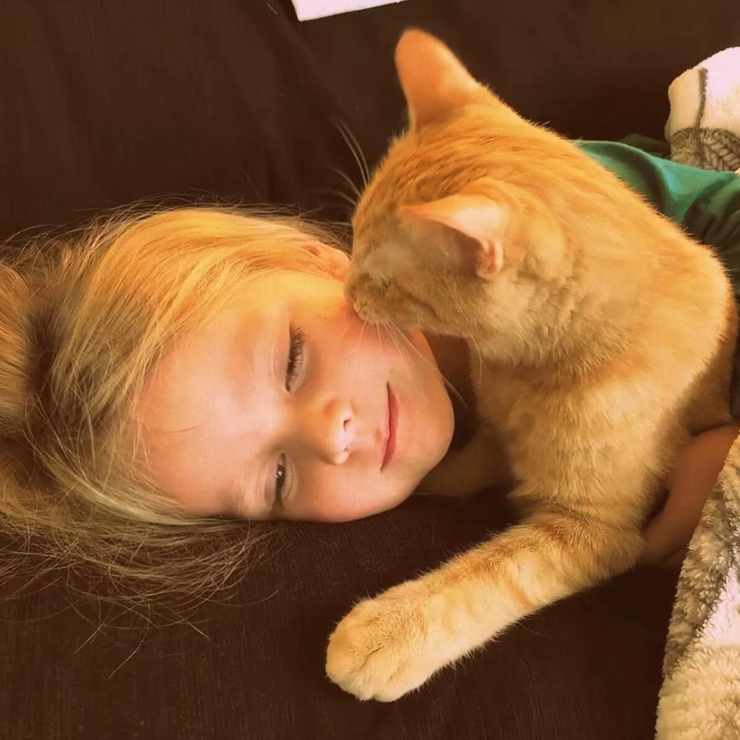 没钱没颜说话不甜