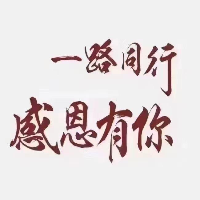 杨哥好物分享