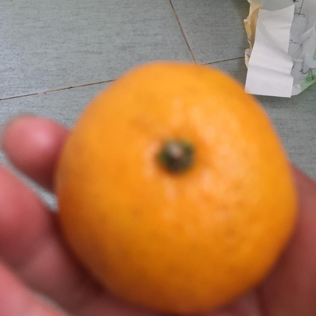 qin前
