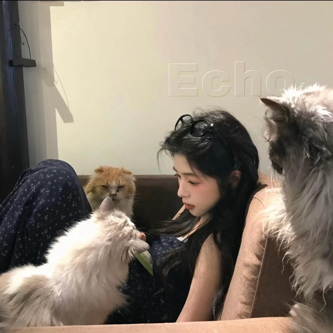 白羊静