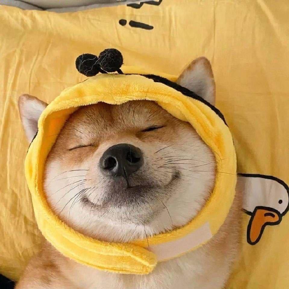 是小南啊头像