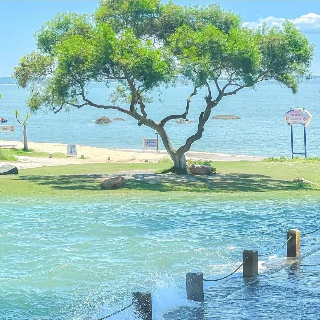 海物语
