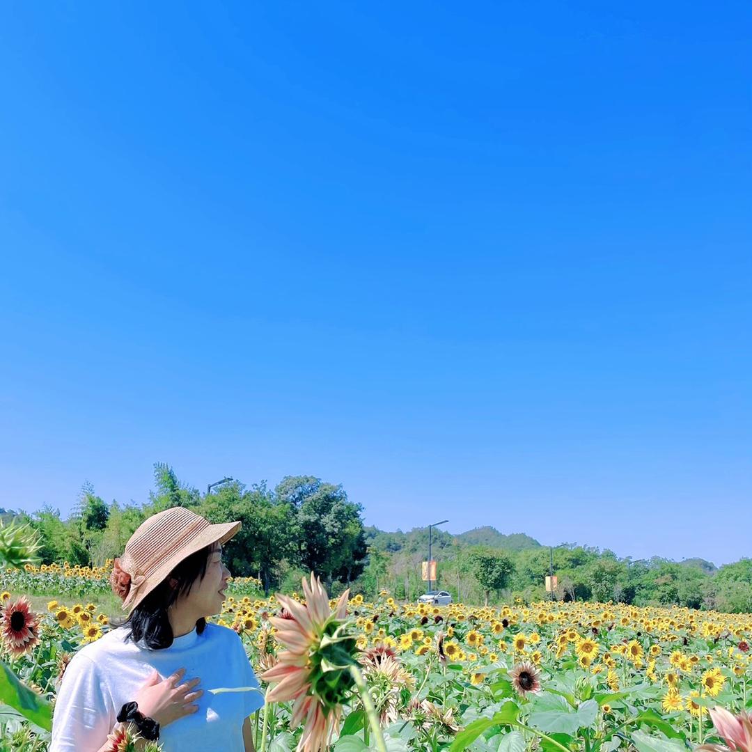圈圈