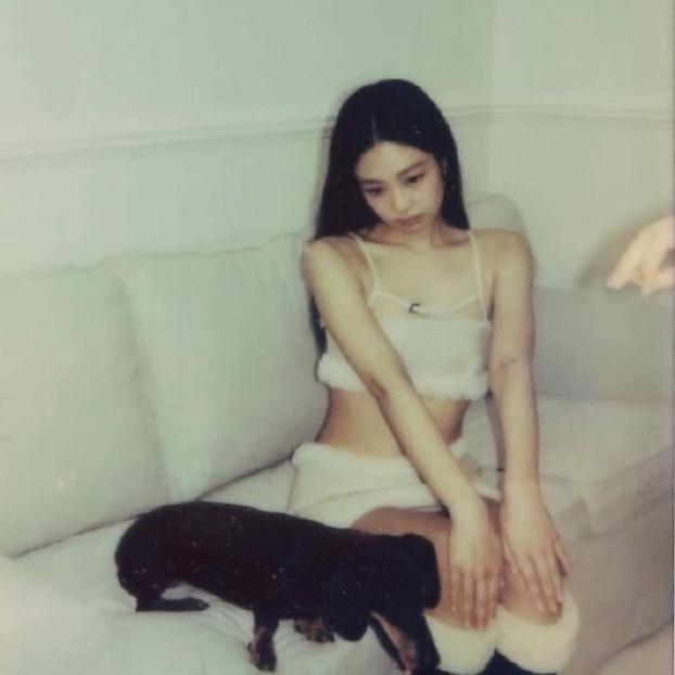 🌈我的名字是...