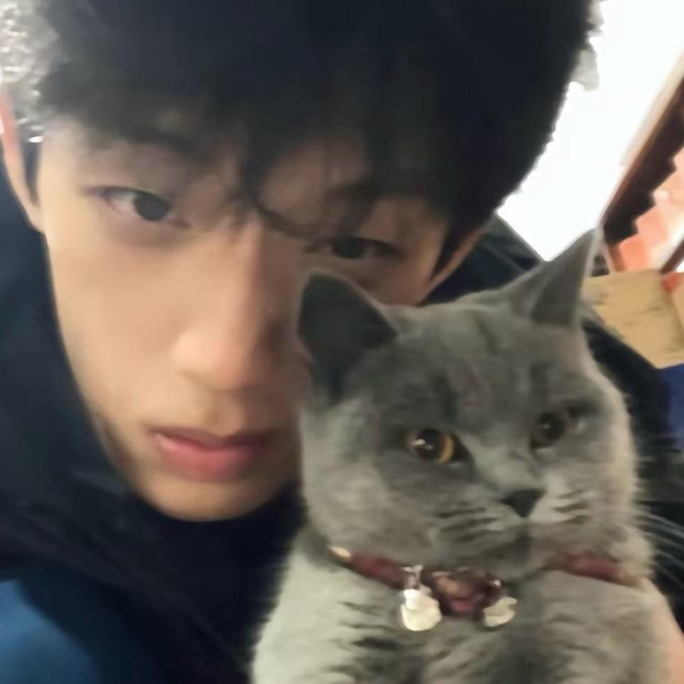 吴彥祖（吴视正版）