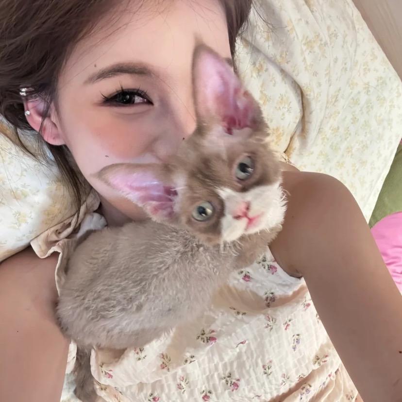 江应科小小