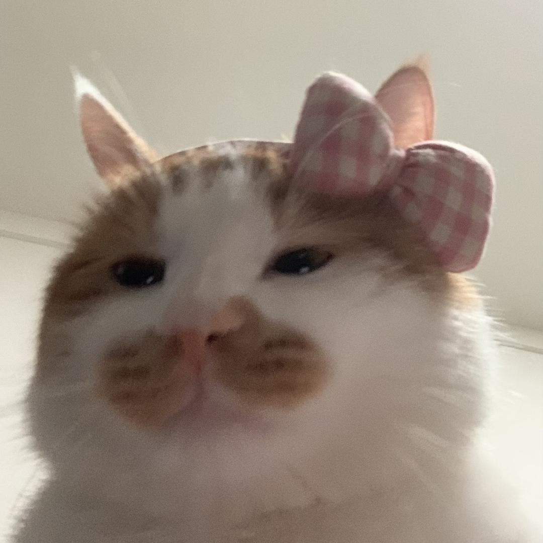 谢开心