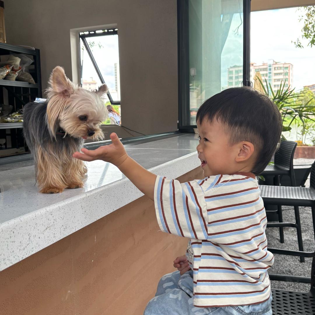 小小星辰。✨✨