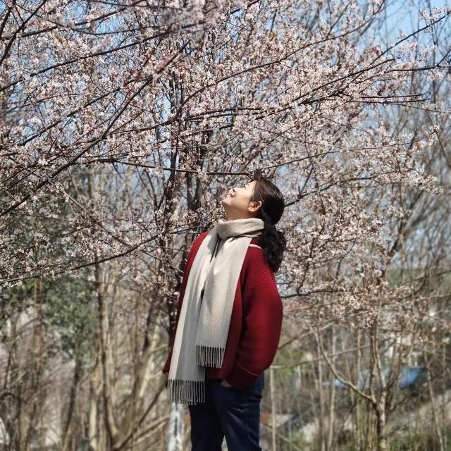风信子