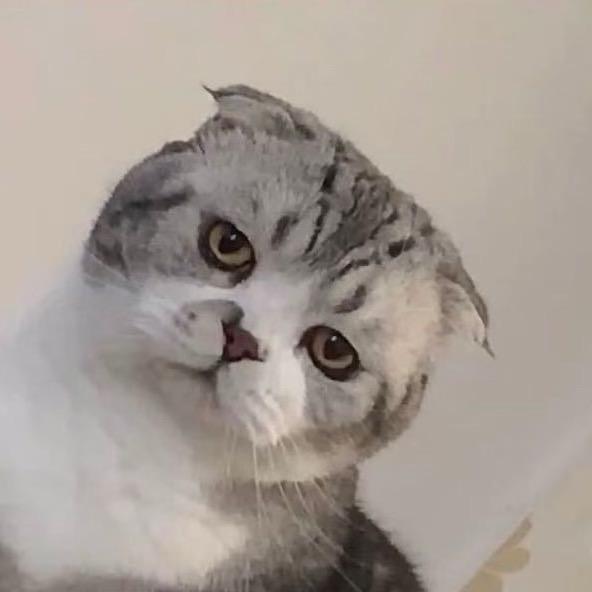 威莱克游泳健身《运河一品店》