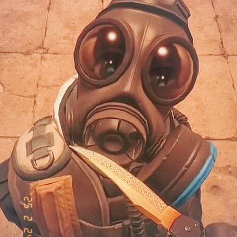 咖啡猫（三角洲行动）