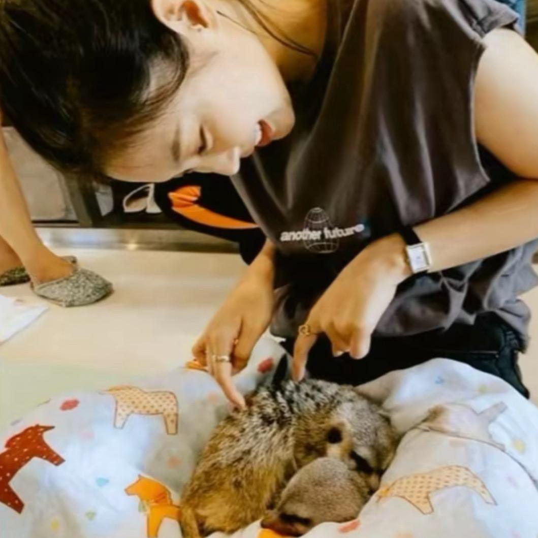 ㅤㅤ ㅤㅤ ㅤㅤ