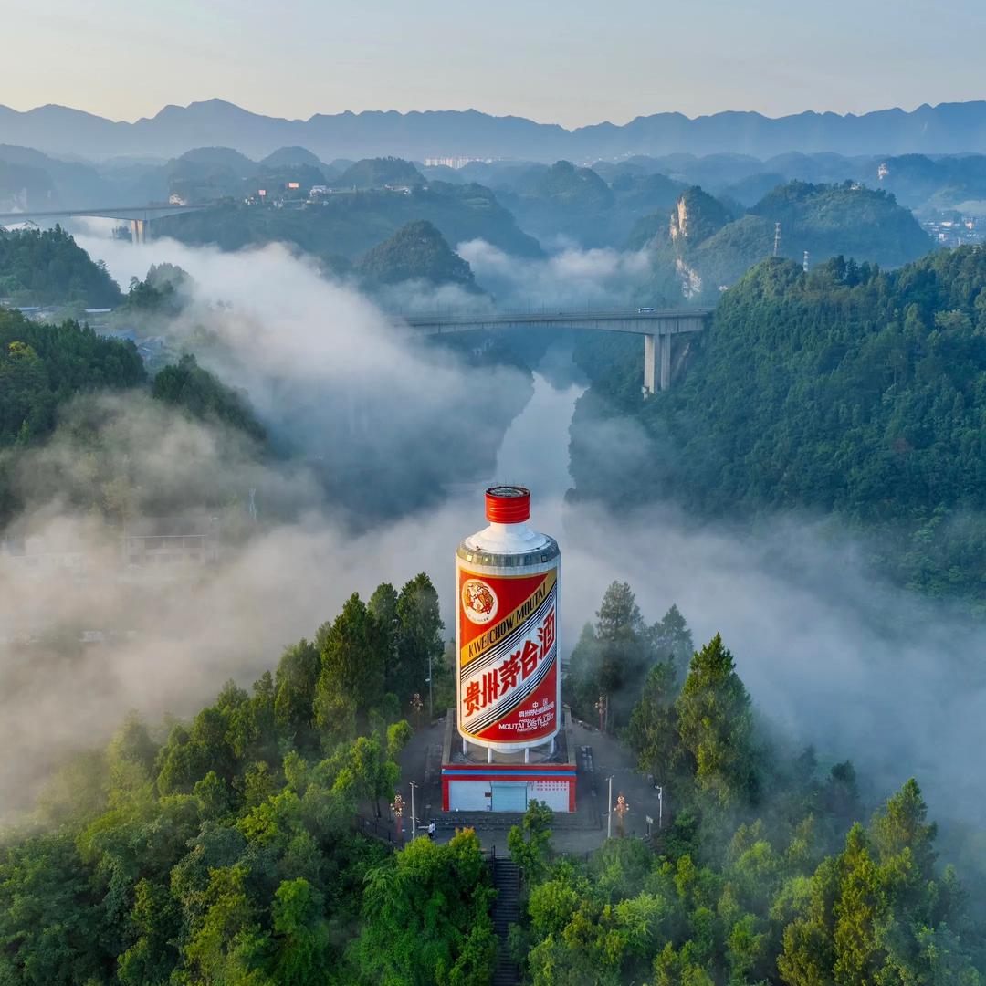 #酱酒搬运工@
