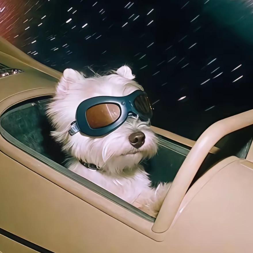 花生什么树了！