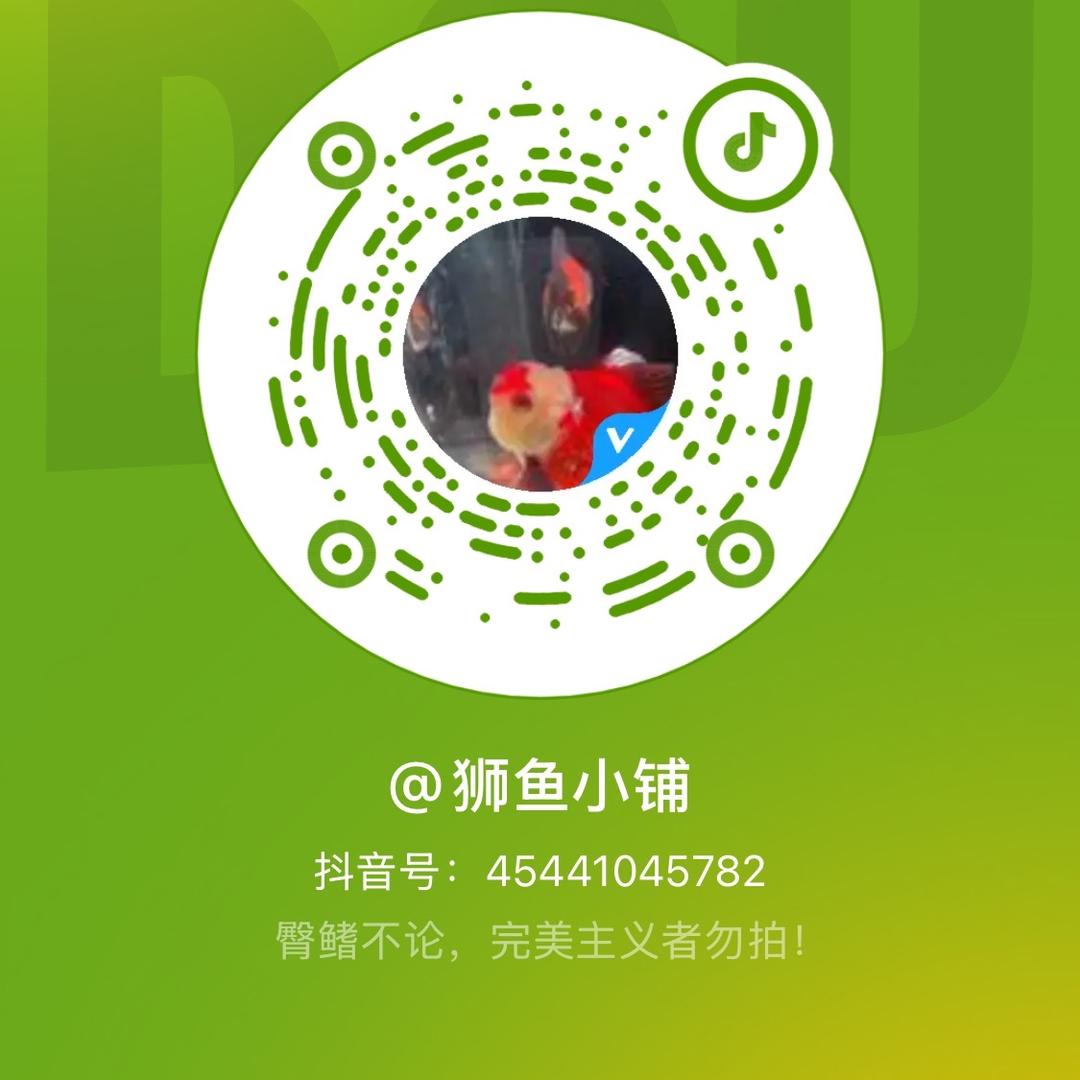 狮鱼小铺