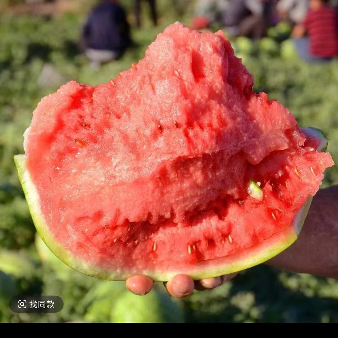 小九
