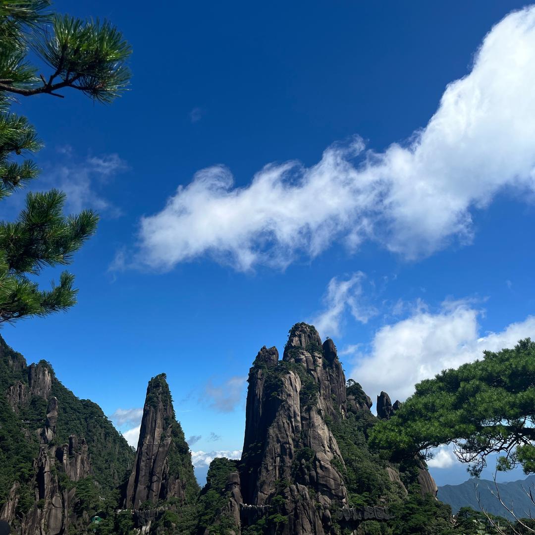 小小鑫