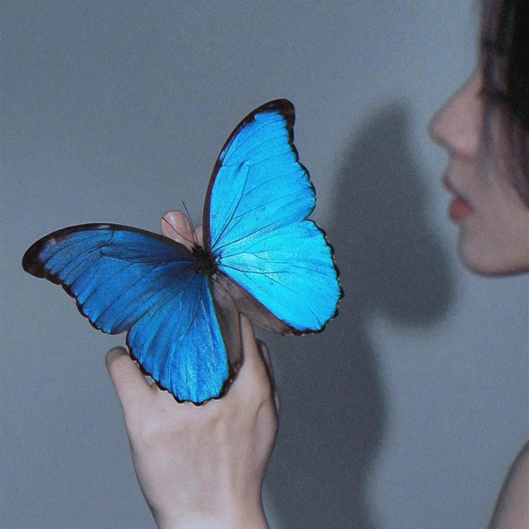 დ ﹏阿法๑҉/