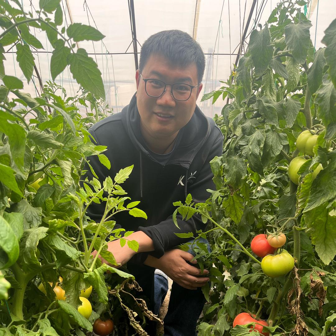 萃盛何伟聊蔬菜