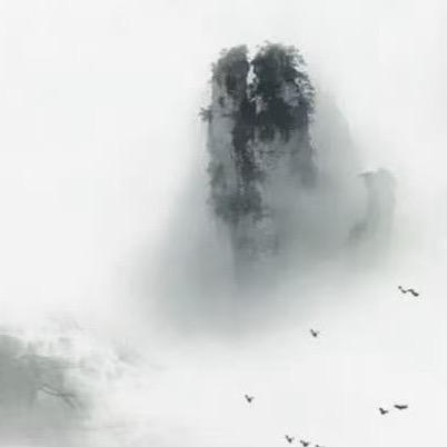 寻真