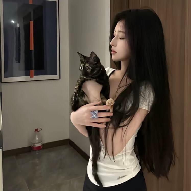 梦ㅤㅤㅤㅤㅤㅤㅤㅤㅤㅤㅤ