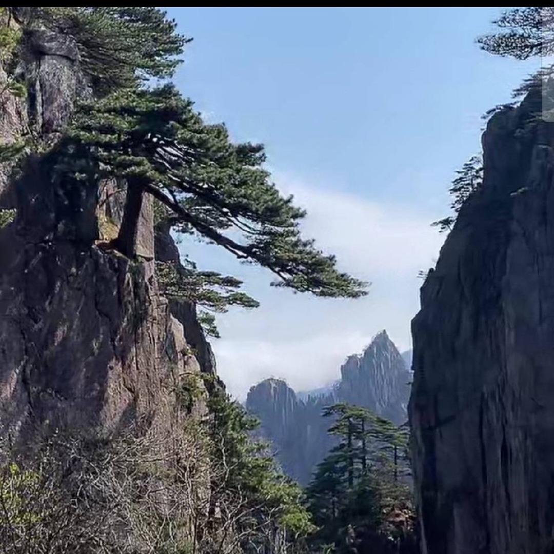 看开人生❤️