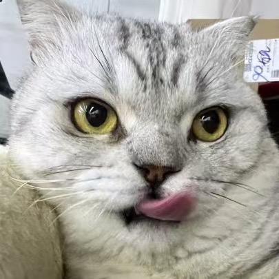 去健身房被误会裤子里藏哑铃（氧气工厂）