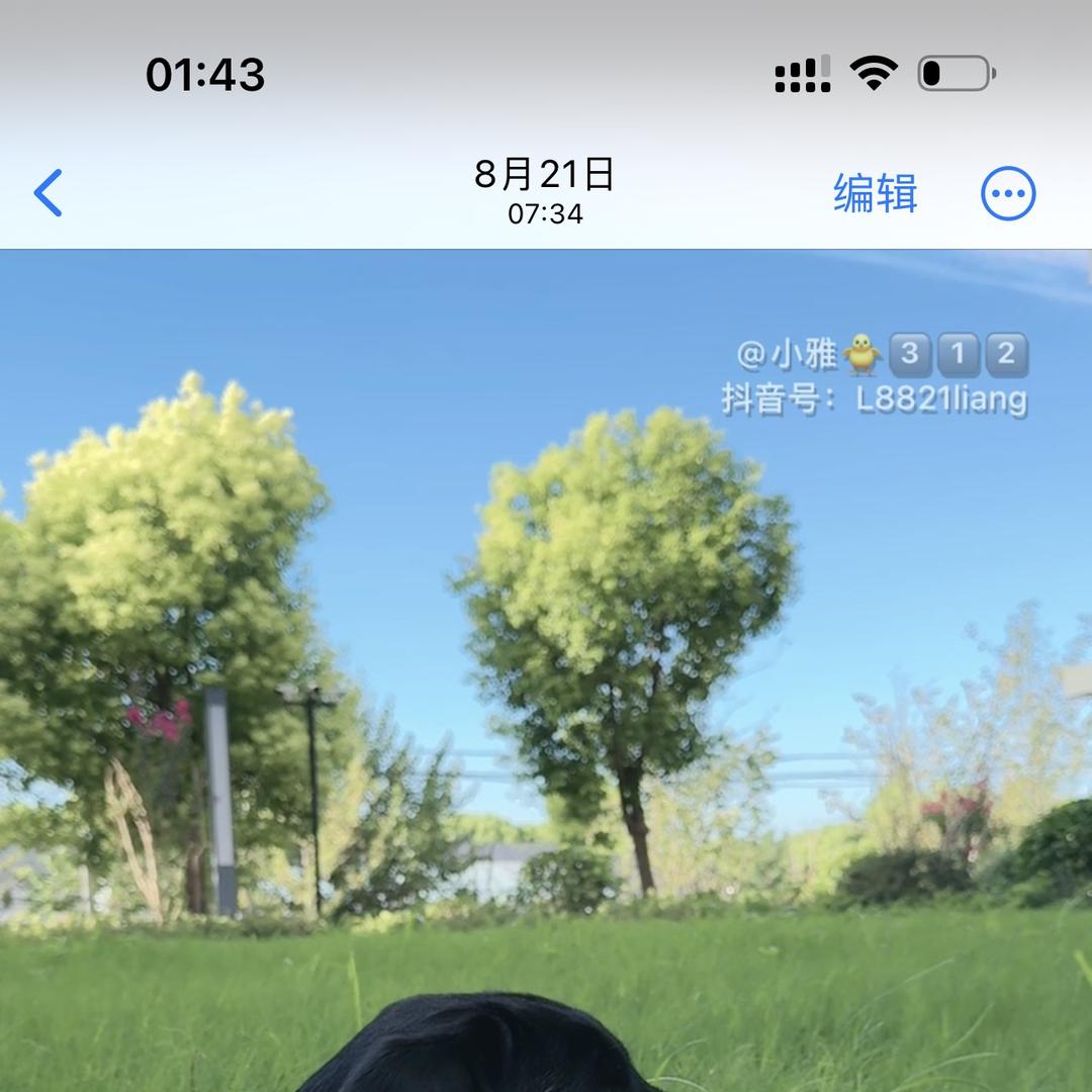雷欧（海杉文化）