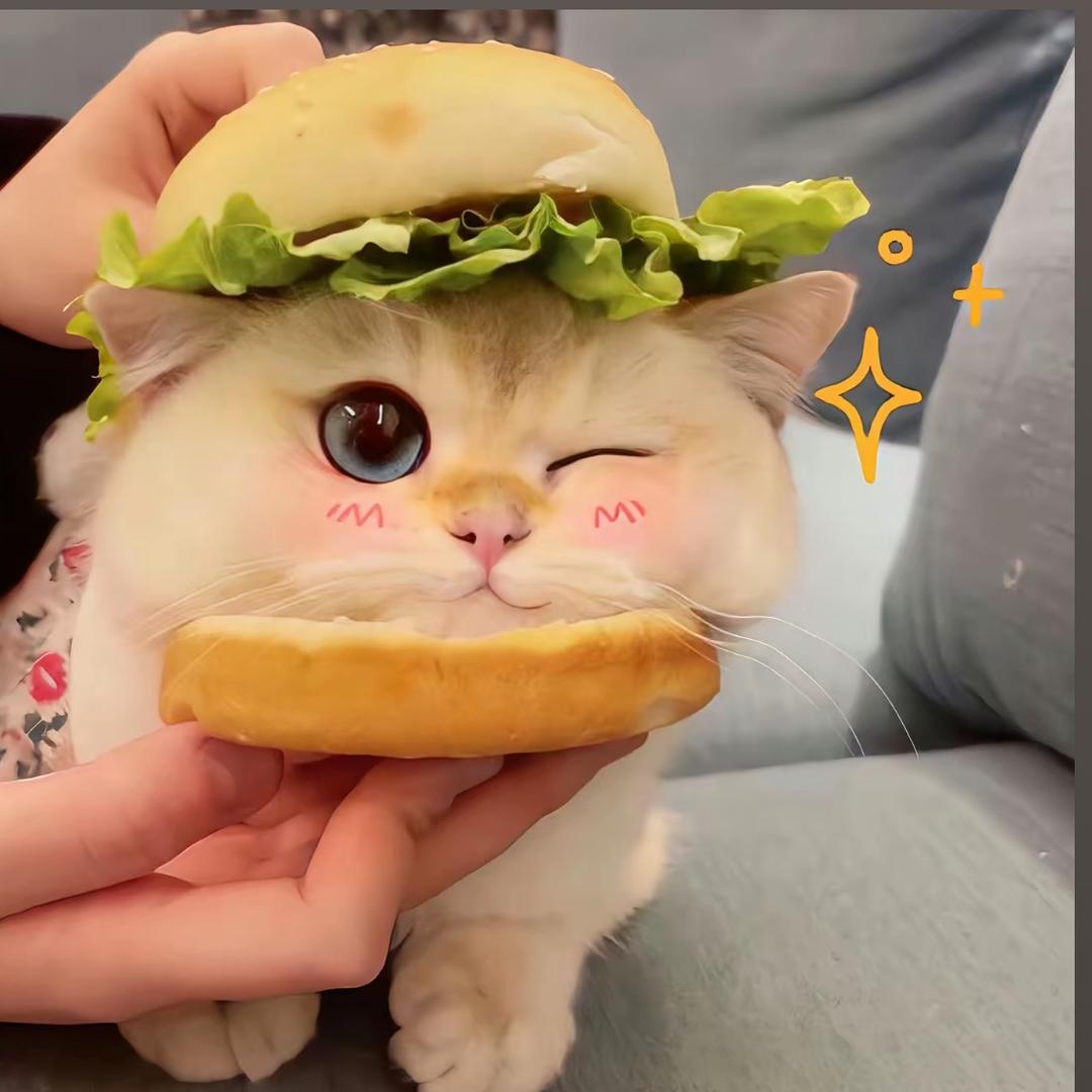 吱屋猪