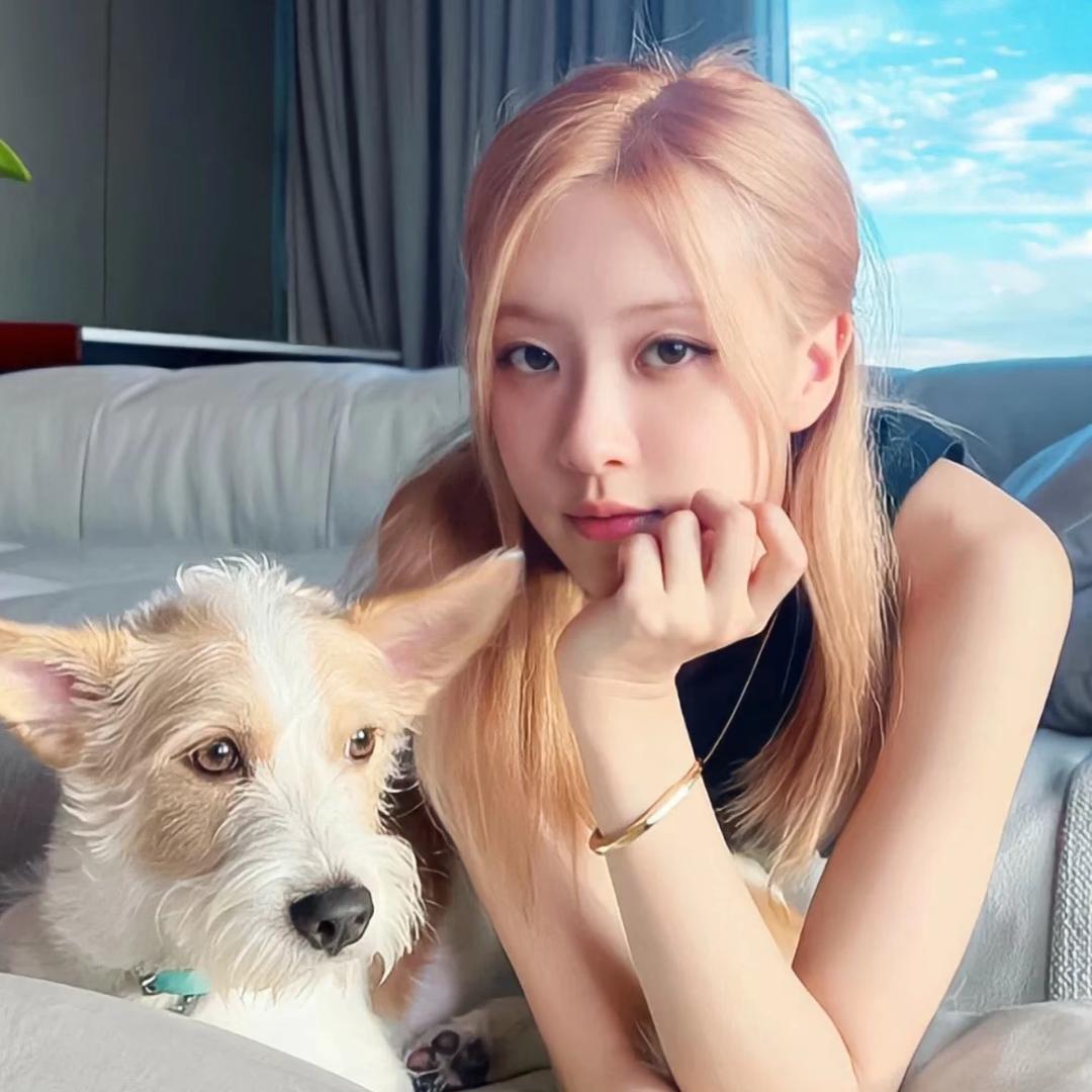 美女也会ᵉᵐᵒ