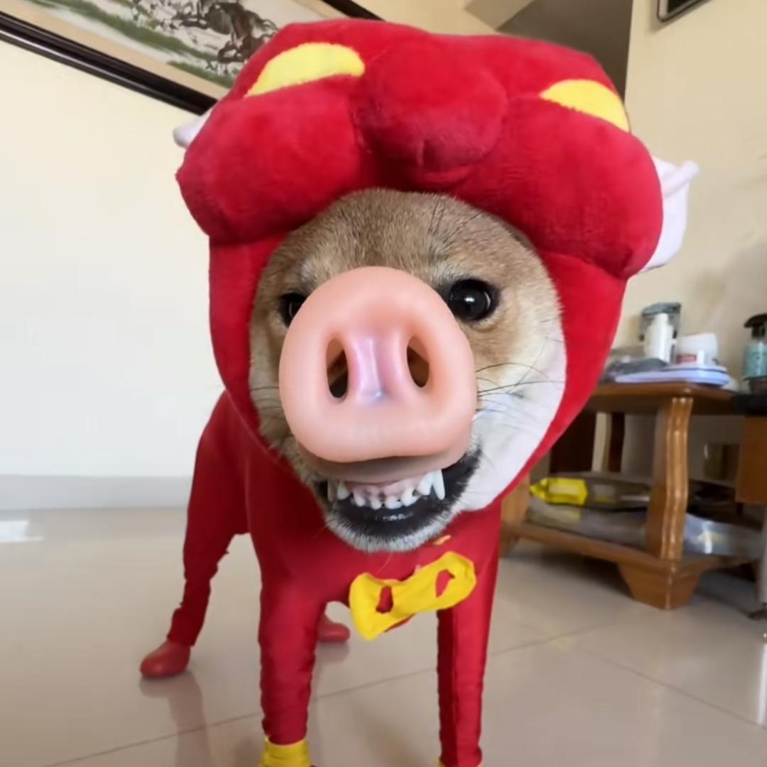 困了就睡.